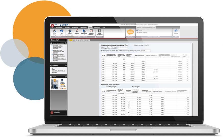 BL Skatt Företag – skatteprogram för företag