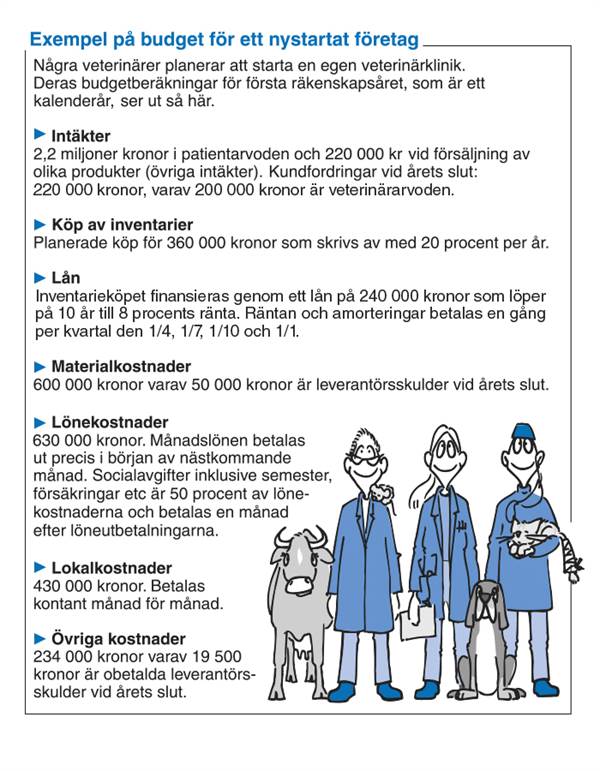 Exempel på budget för ett nystartat företag.