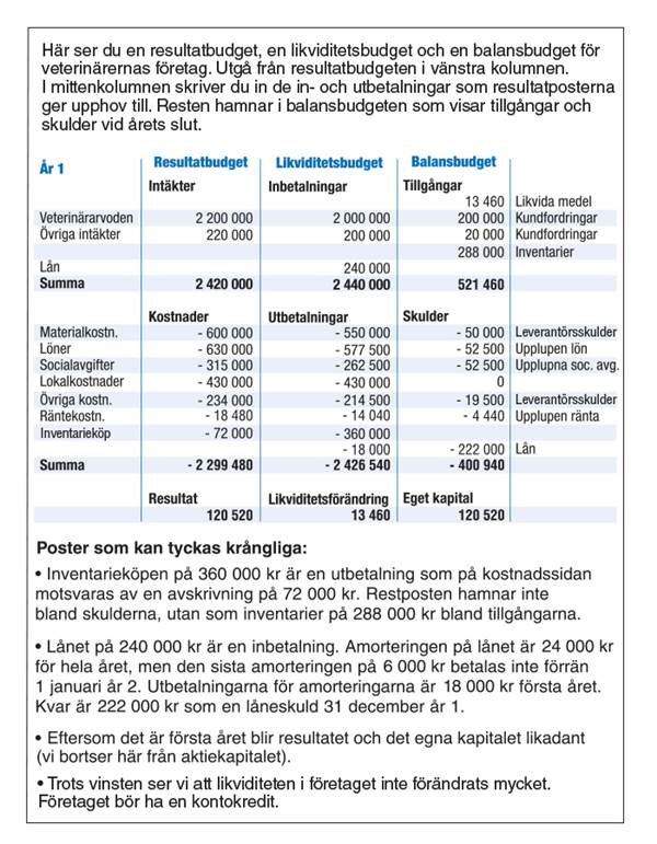 Exempel på budget för ett nystartat företag.