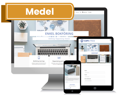 Hemsida för redovisningsbyrå - Medel